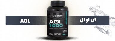 AOL 1000  پروبادی